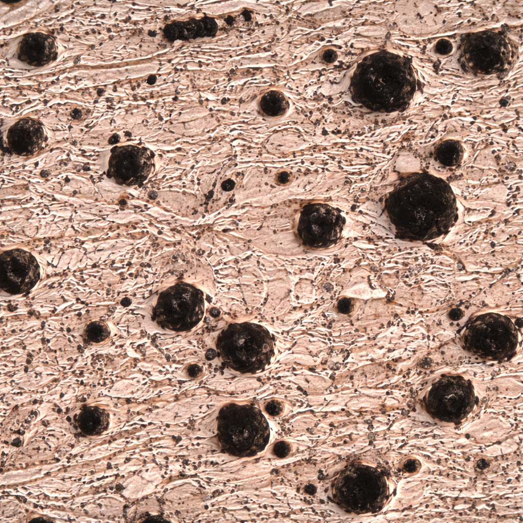 Alloyed Steel Microstructure